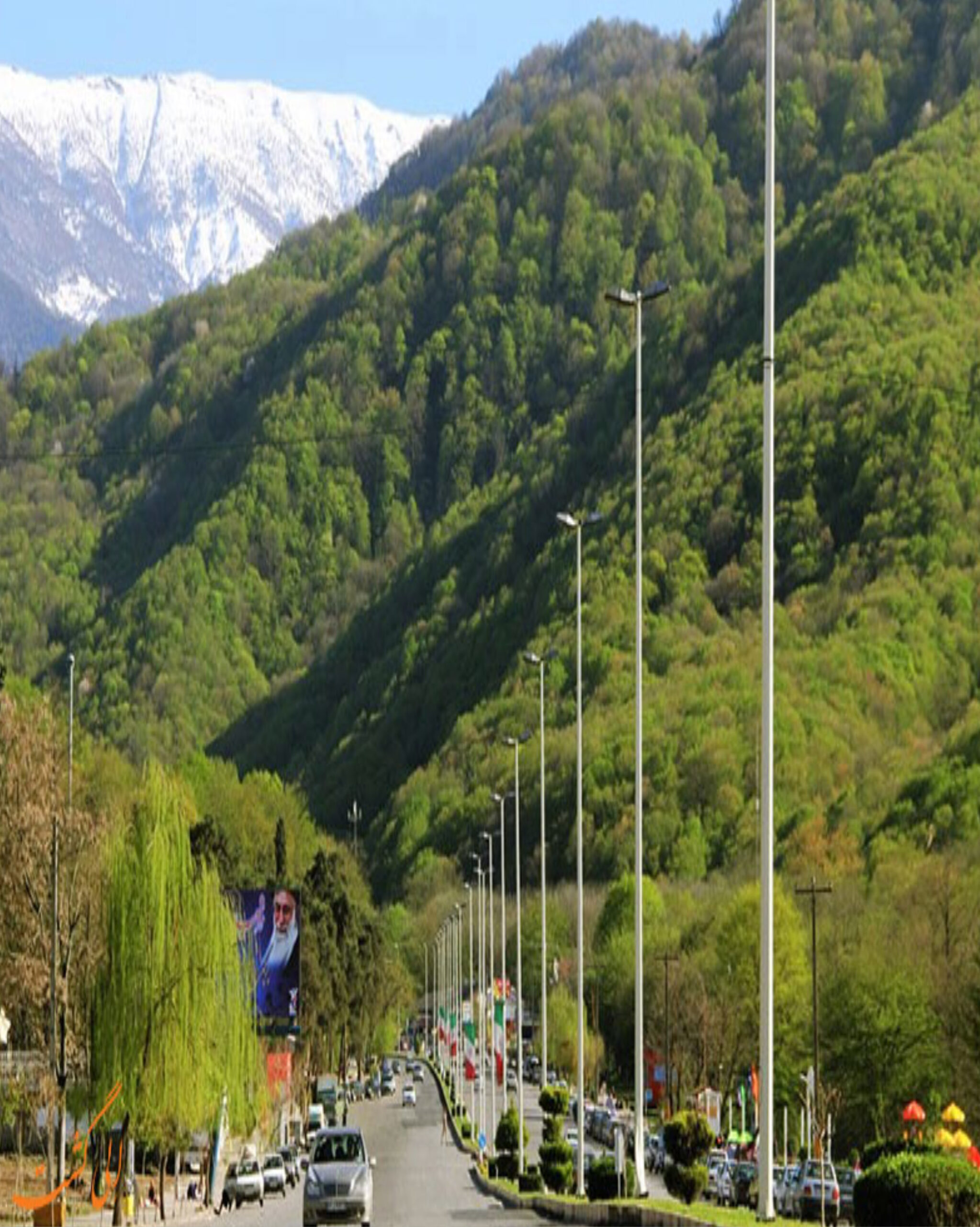 IMG_7342 (1)
